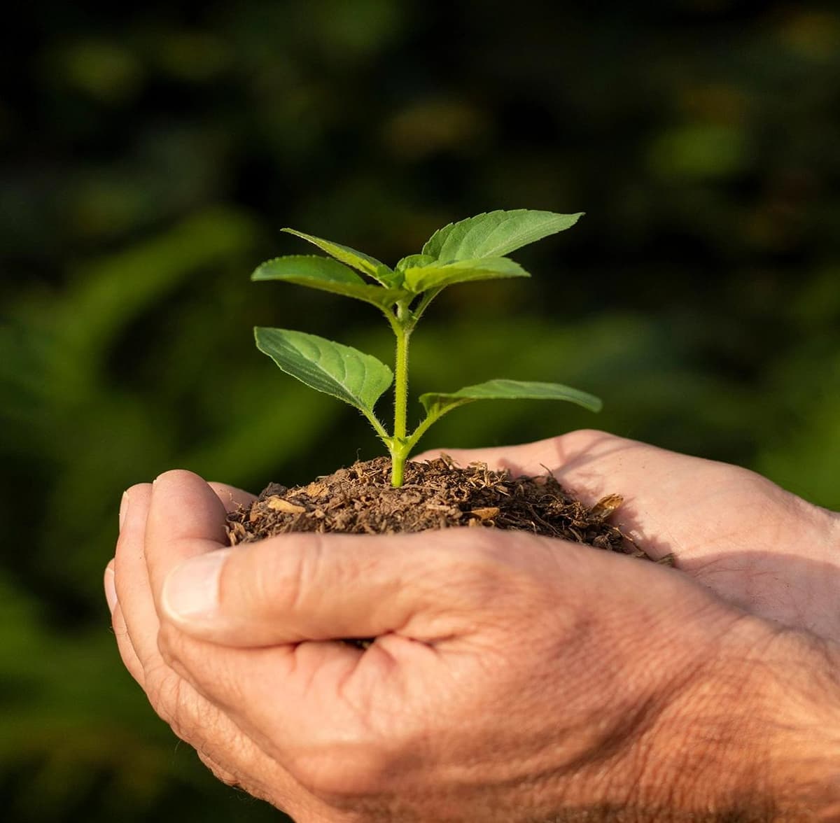 From Humble Beginnings